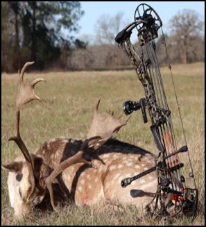 Recent hunt trophy taken at TEN26 Outdoors hunting ranch near Huntsville Texas