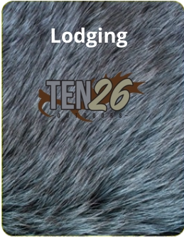 Lodging