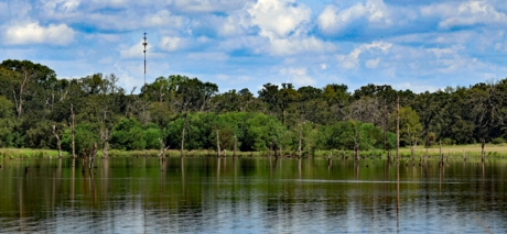 A picture of one of the lakes on the hunting property at TEN26 Outdoors exotic hunting ranch near huntsville texas