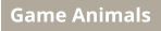 Game Animals