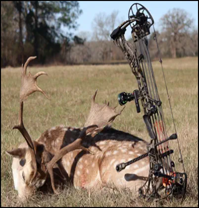 Recent hunt trophy taken at TEN26 Outdoors hunting ranch near Huntsville Texas
