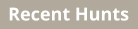 Recent Hunts