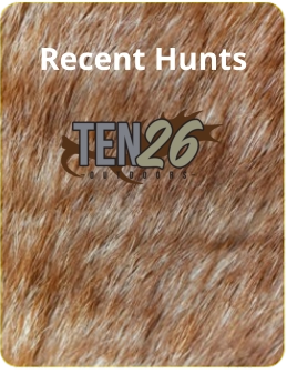 Recent Hunts